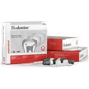 MERI-DENTAL
